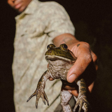 man holding frog wearing the swamp donkey shirt