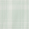 Soft pale green plaid textile pattern with subtle stripes