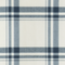 Close-up of a blue and white plaid shirt fabric pattern