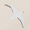 silhouette of a seagull in flight against a light background