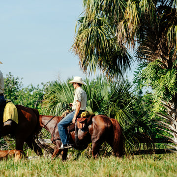 Man riding a horse with palm trees in the background