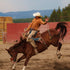 man on horse wearing the clyde shirt