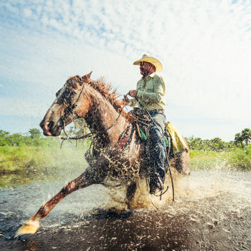 Man riding horse through river