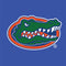 Green alligator head outlined in orange and white on blue background