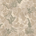 Desert camouflage pattern with scattered cacti and desert plants in beige and green tones